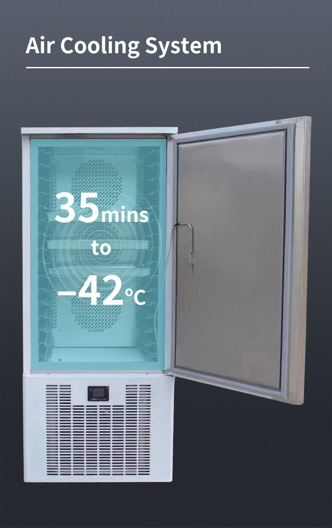 100-200l 급속 냉동고 냉각장치 광고 방송 5 10 15 쟁반 작은 빠른 어는 5